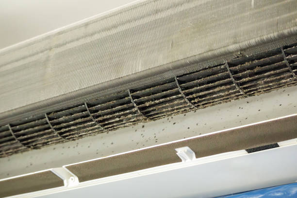 Best Air Duct Cleaning Near Me in Stem, NC